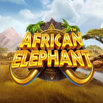 african elephant moba4d